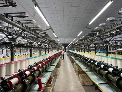 用好 數字化出?？?山東周村絲綢通過阿里國際站出海全球50多國